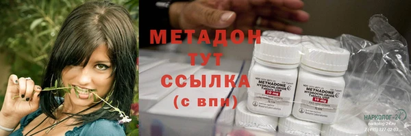 индика Абаза