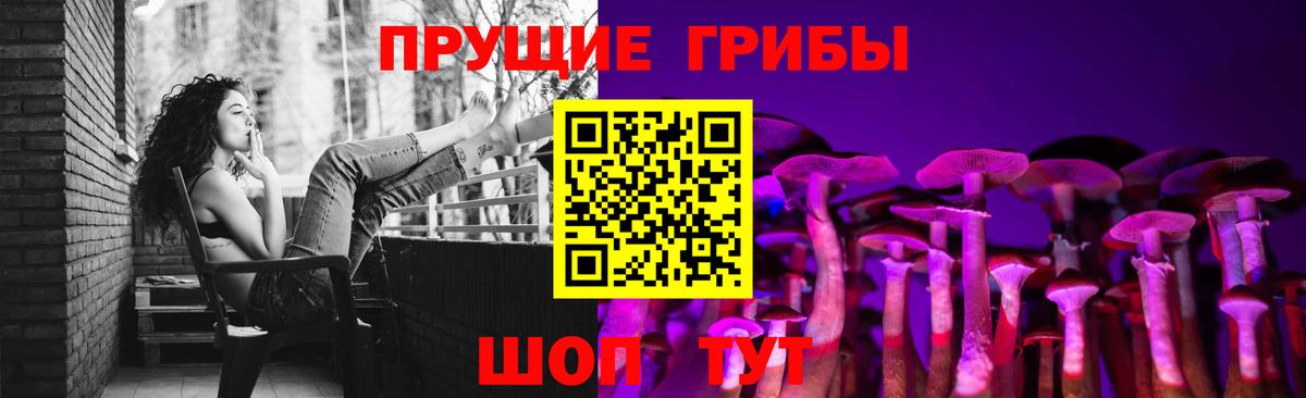 Азнакаево  Галлюциногенные грибы прущие грибы  Вход с VPN 