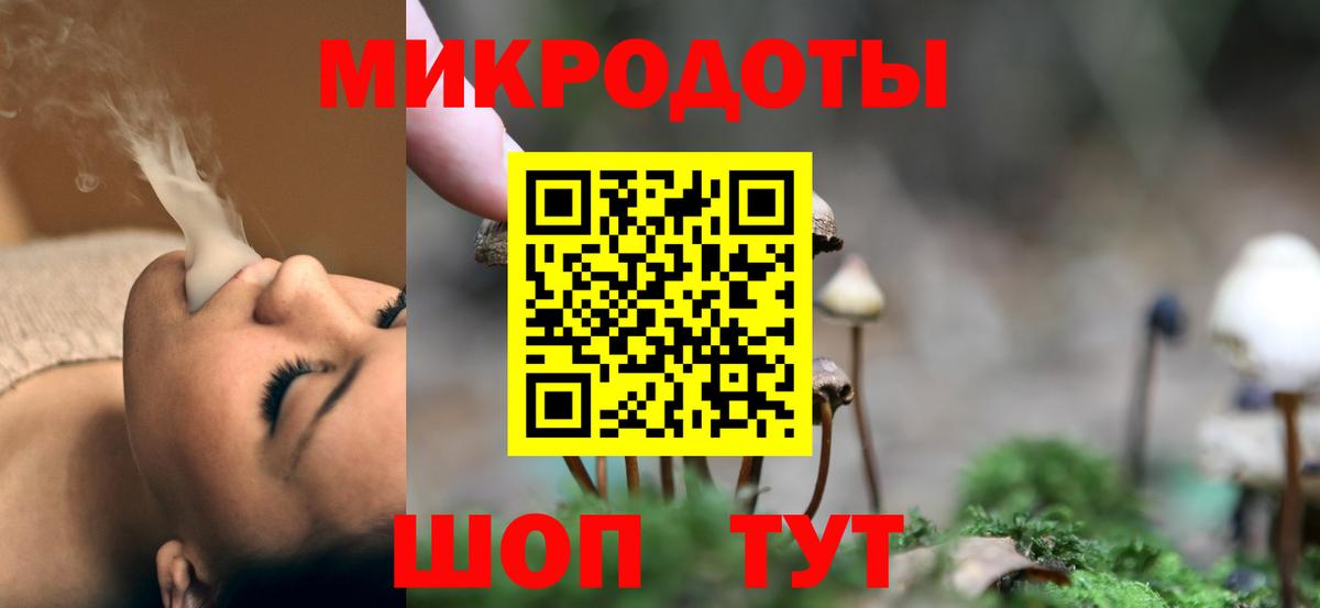 Галлюциногенные грибы Psilocybe Азнакаево